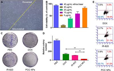 pH-Sensitive and Long-Circulation Nanoparticles for Near-Infrared Fluorescence Imaging-Monitored and Chemo-Photothermal Synergistic Treatment Against Gastric Cancer